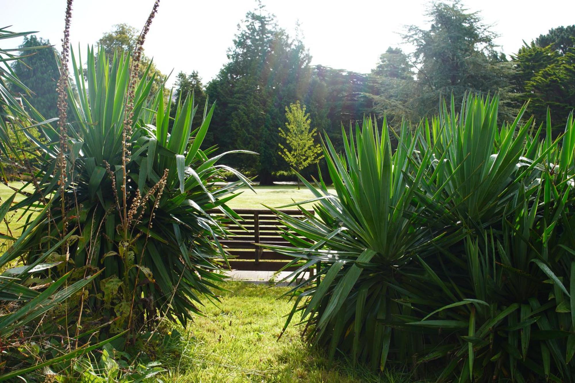 Epiphany House Truro Exterior foto